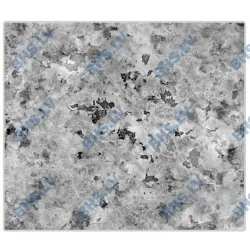 Accessoire pour table réfrigérée Novameta DM0-GALAXY