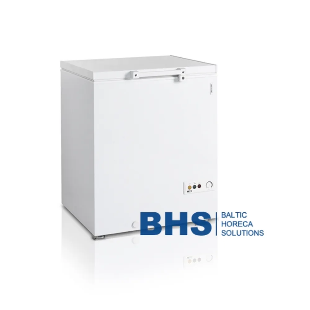 Congélateur coffre TEFCOLD FR205-SL