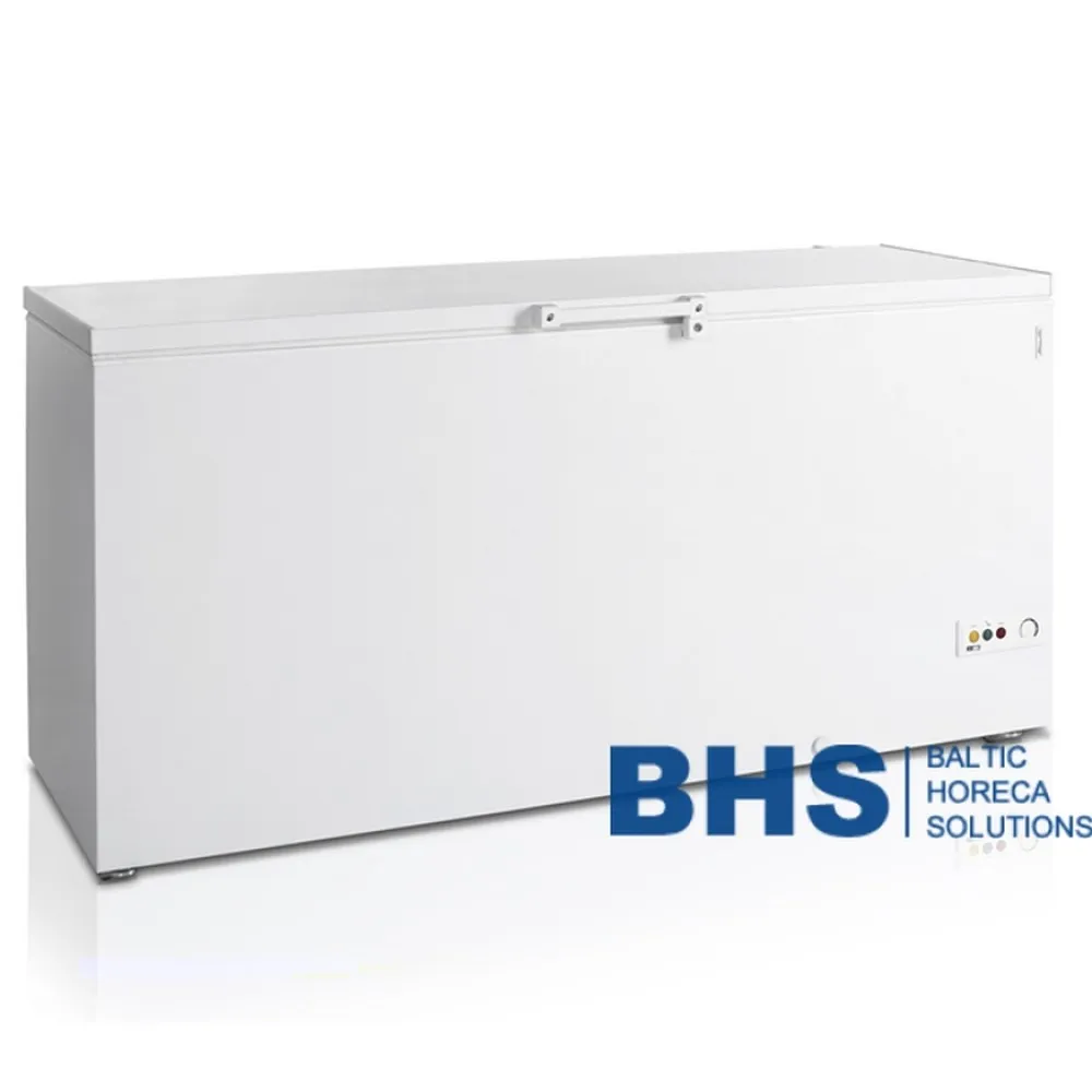 Congélateur coffre TEFCOLD FR605-SL