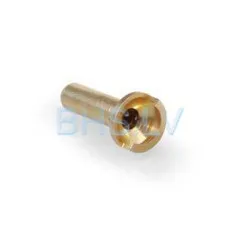 Gicleur pilote LF L3020042