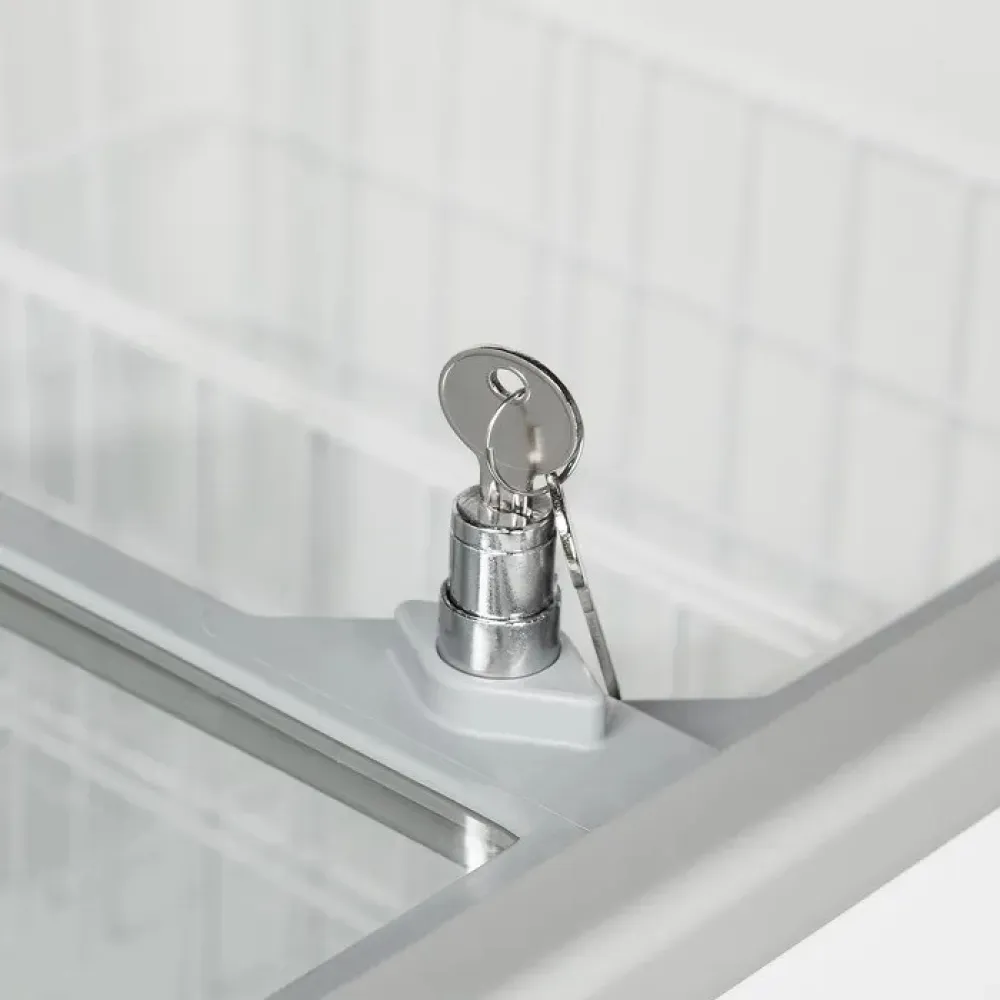 Congélateur coffre à glaces TEFCOLD IC202SC