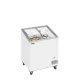 Congélateur coffre à glaces TEFCOLD IC202SCEB