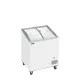 Congélateur coffre à glaces TEFCOLD IC202SCEB