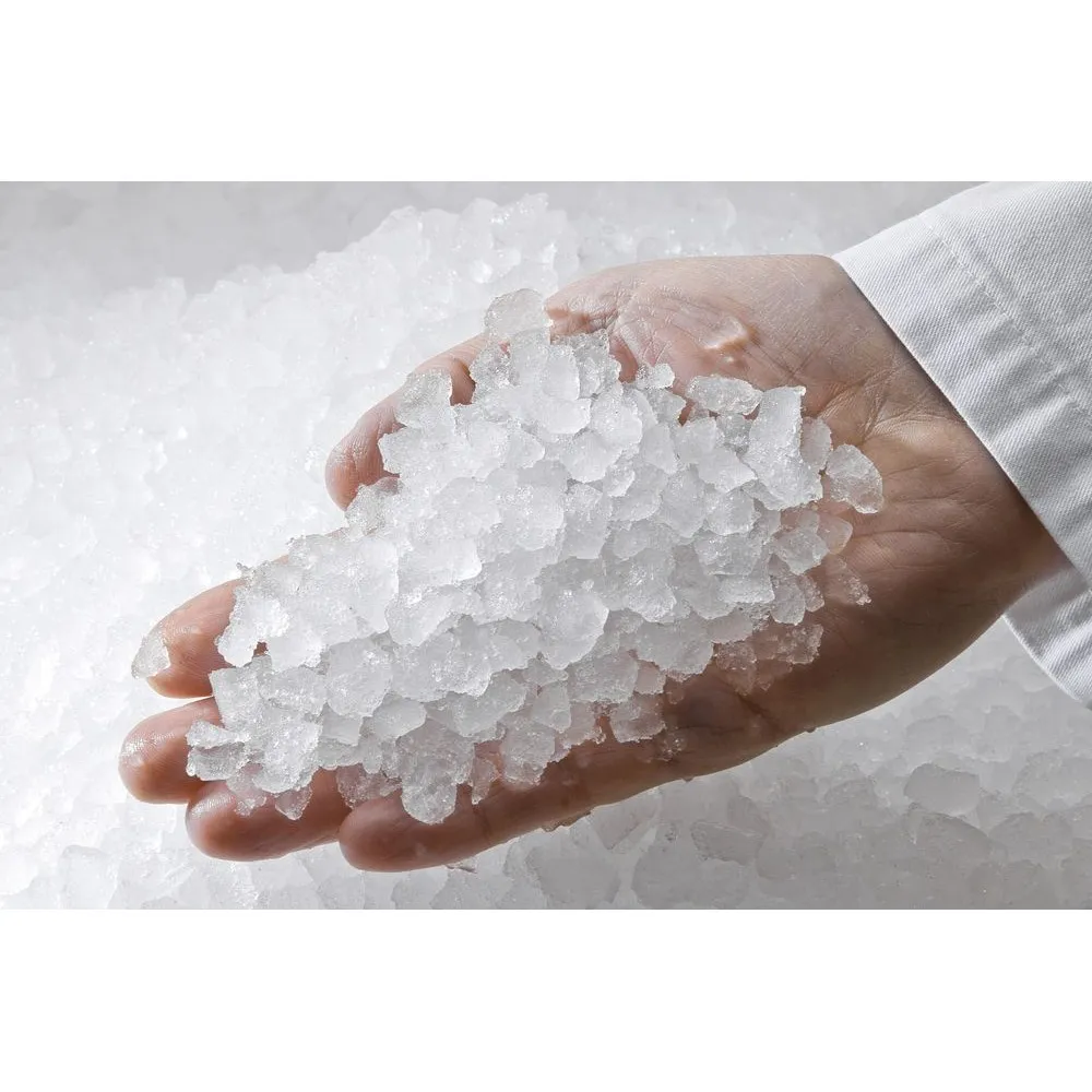 Générateur de glace ICE TECH GR1100