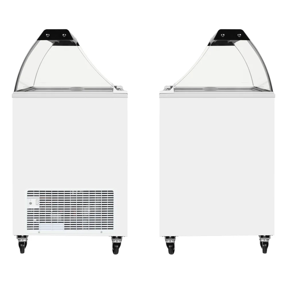 Vitrine à glaces TEFCOLD IC202SC-SO