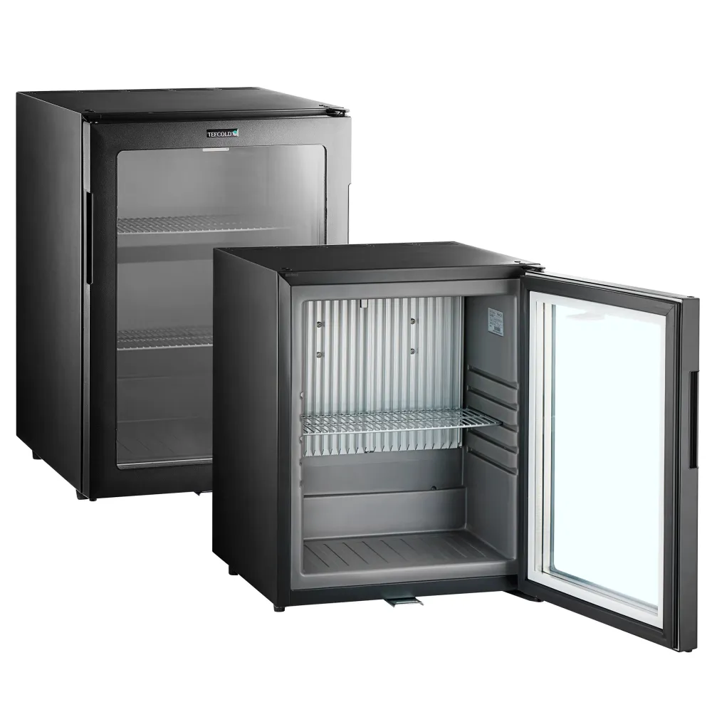 Minibar TEFCOLD TM44G-1