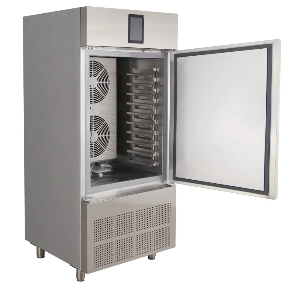 Surgélateur TEFCOLD BLCA10X1
