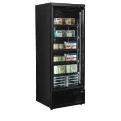 Congélateur TEFCOLD F1DBB