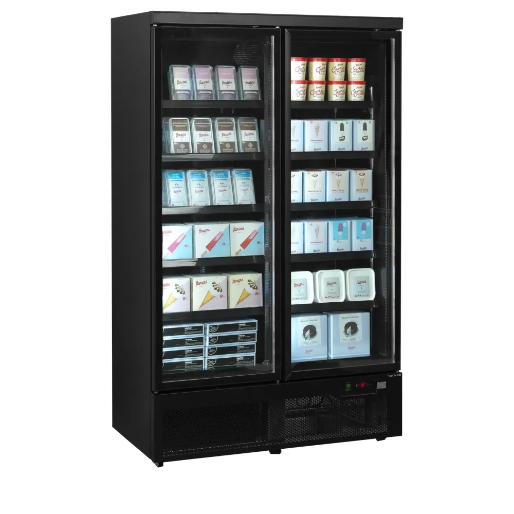 Congélateur TEFCOLD F2DBB