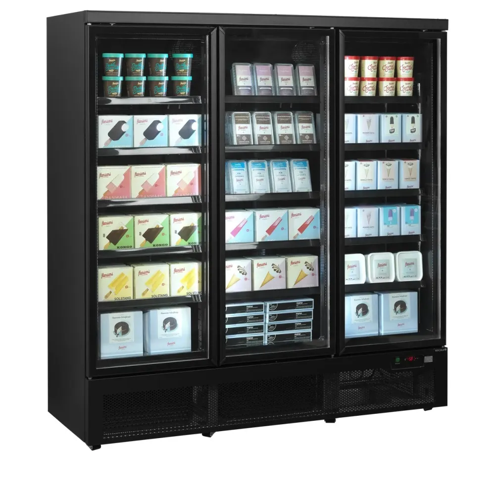 Congélateur TEFCOLD F3DBB
