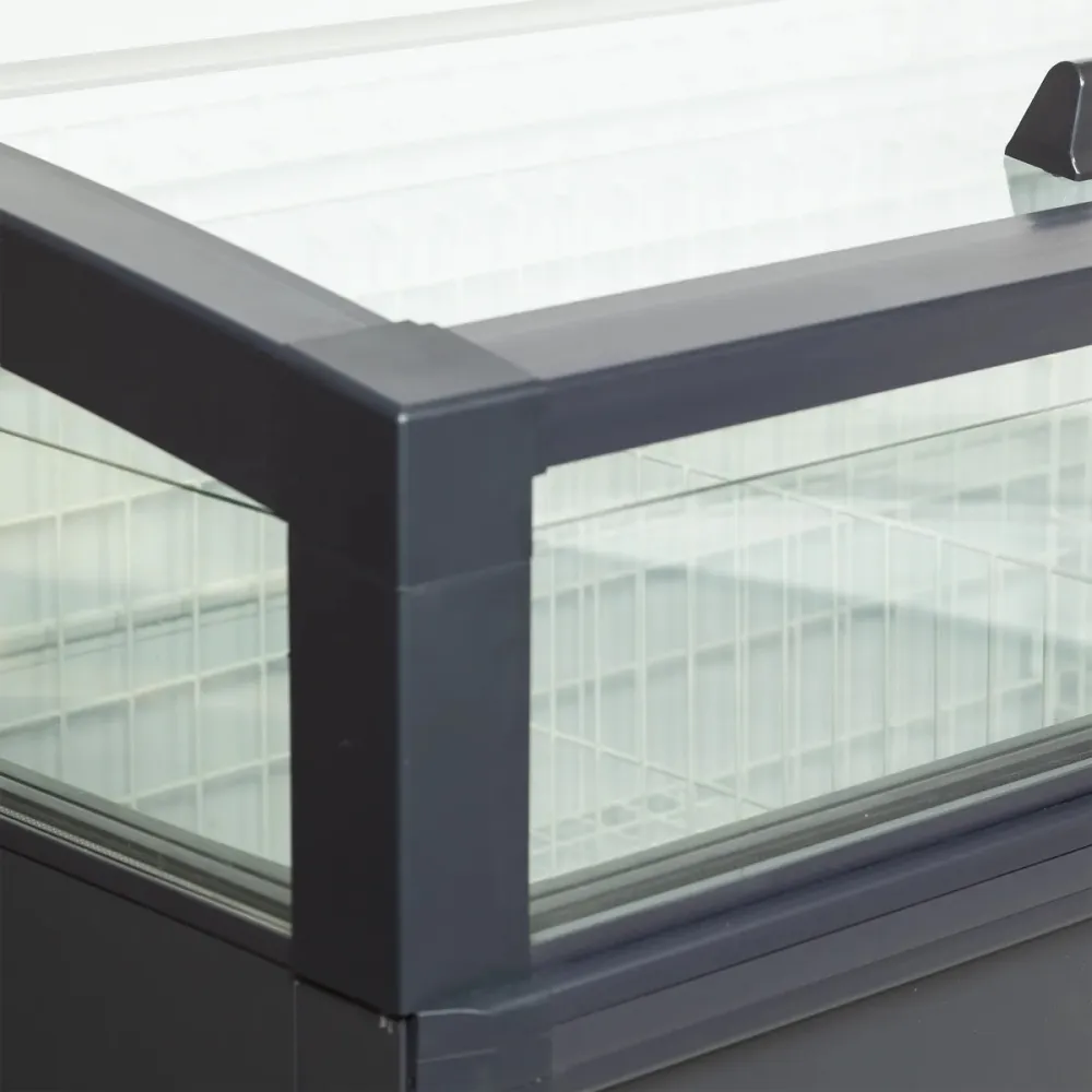 Congélateur coffre vitrine TEFCOLD VIEW HC