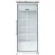 Vitrine congélateur FORCAR G-EFV600G