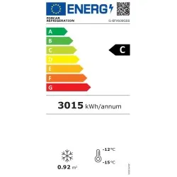 Vitrine congélateur FORCAR G-EFV600GSS
