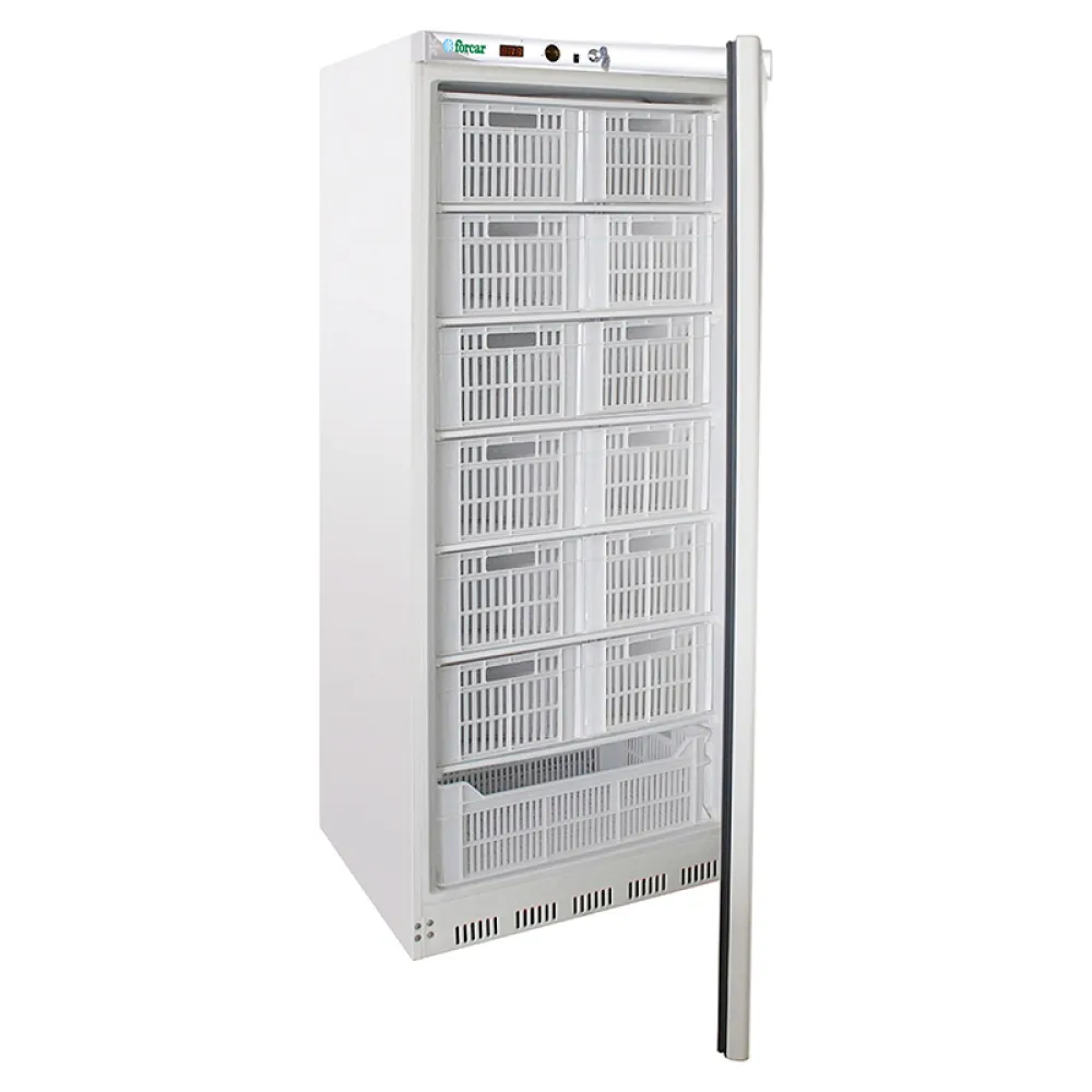 Congélateur vertical FORCAR G-EF600CAS