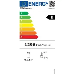 Réfrigérateur FORCAR G-ERV600G