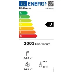 Congélateur FORCAR G-EF200GSS
