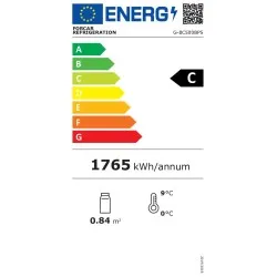 Réfrigérateur FORCAR G-BC500BPS