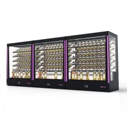 Vitrine SAYL PAK-RAC-W