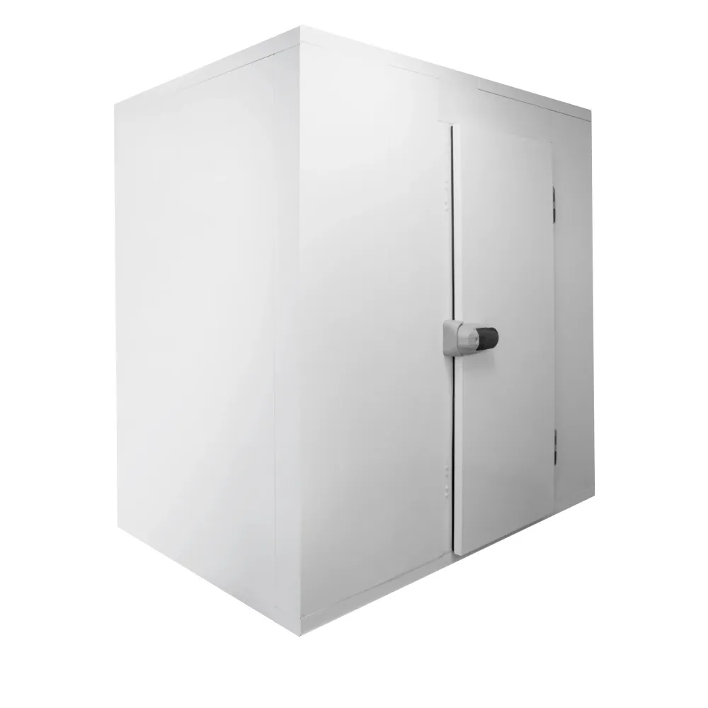 Panneau de chambre froide TEFCOLD 43978