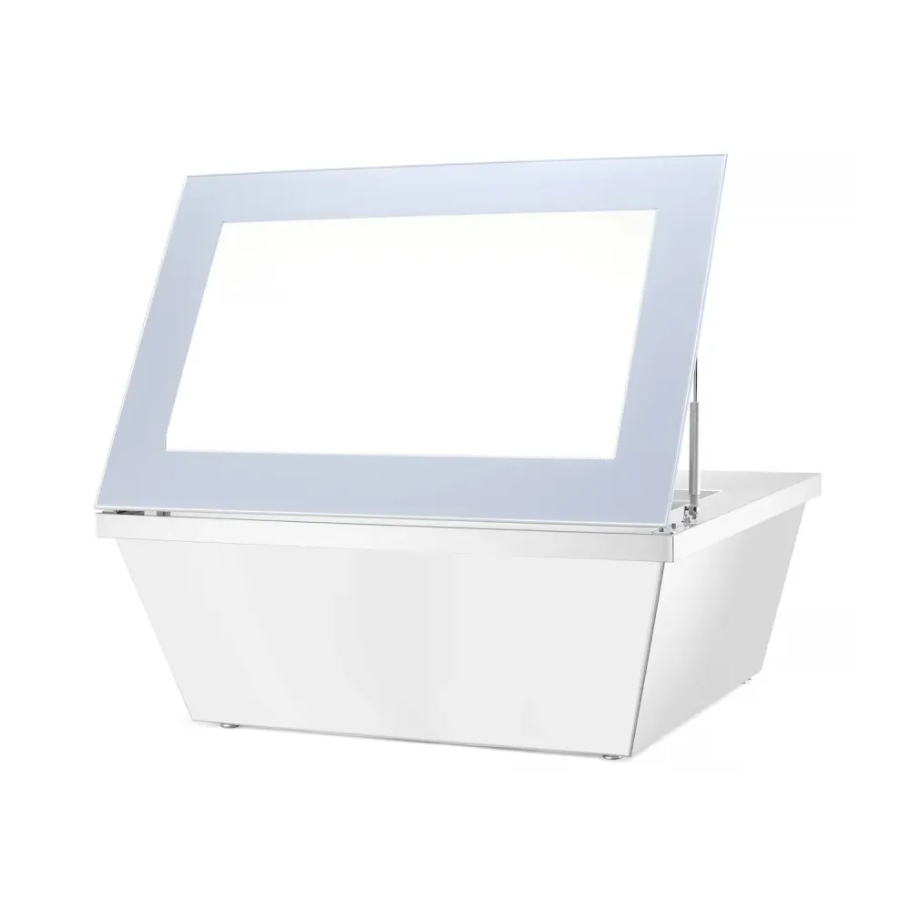 Congélateur coffre vitrine Arktic 233689