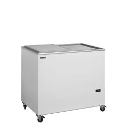 Congélateur bahut TEFCOLD ISC302SD