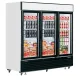 Vitrine congélateur TEFCOLD LGF7500