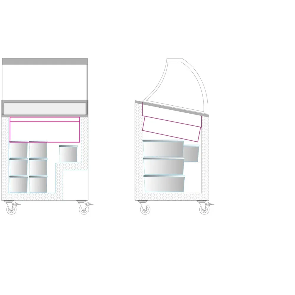 Vitrine à glaces TEFCOLD IC202SCE-SO