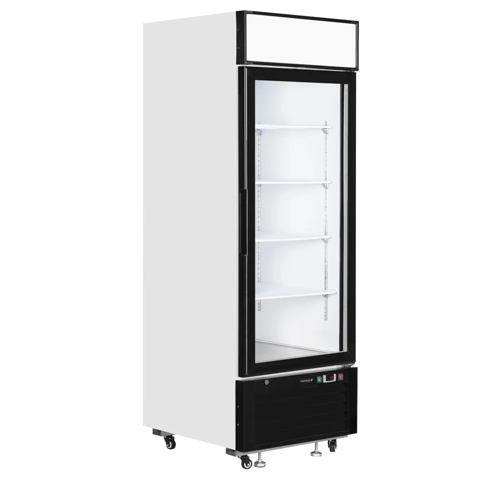 Vitrine congélateur TEFCOLD LGF2500