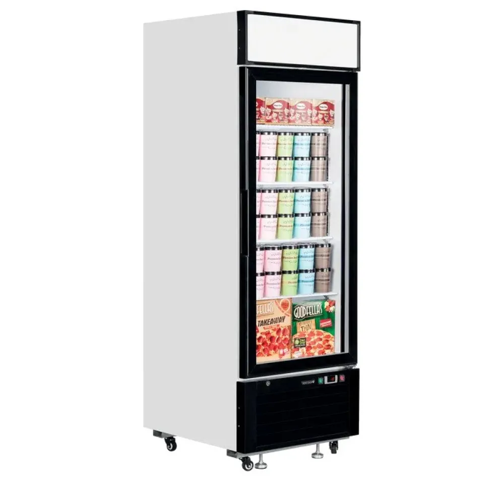Vitrine congélateur TEFCOLD LGF2500