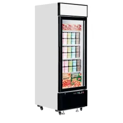Vitrine congélateur TEFCOLD LGF2500