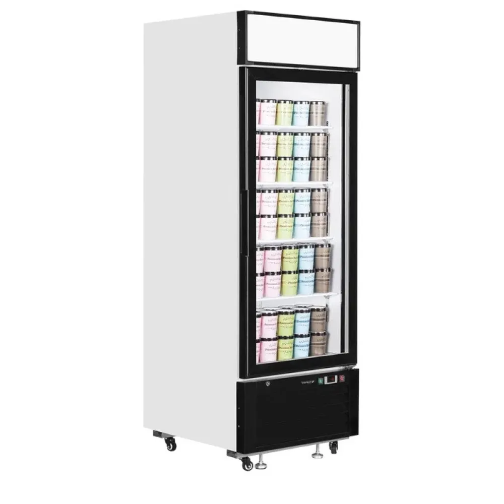 Vitrine congélateur TEFCOLD LGF2500