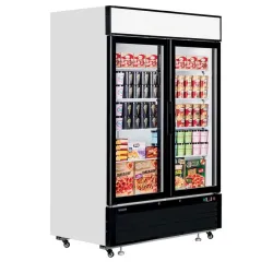 Vitrine congélateur TEFCOLD LGF5000