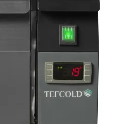 Table réfrigérée avec tiroirs TEFCOLD UD2-32