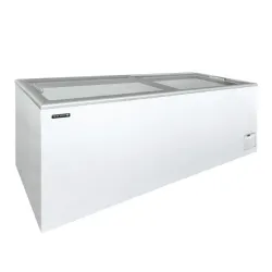 Vitrine à glaces TEFCOLD IDA600-W1