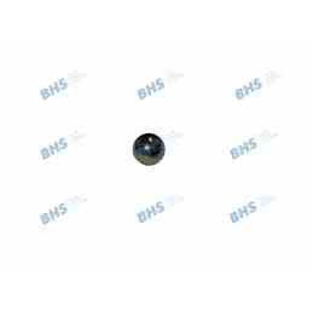Bille en inox LF L1323415