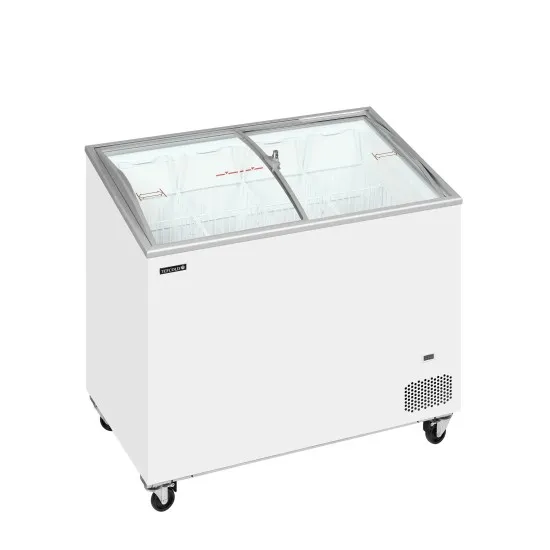 Vitrine congélateur bahut