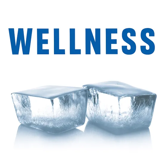 Générateurs de glace GRN / GRF / KFE ICE WELLNESS