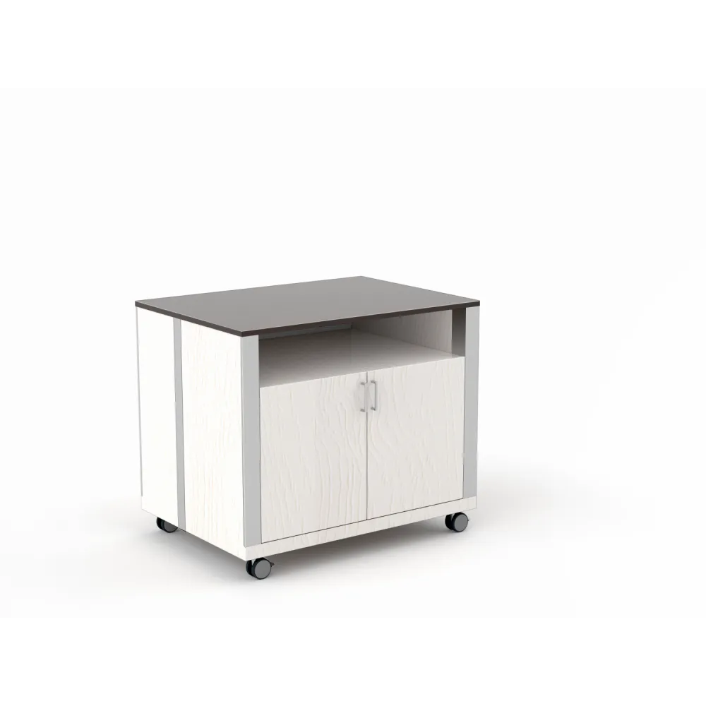 Vitrine libre-service ROCAM 010VPATHSAL2