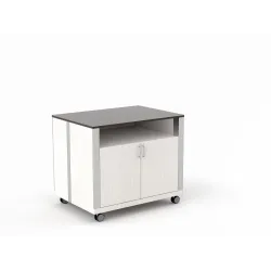 Vitrine libre-service ROCAM 010VPATHSAL2