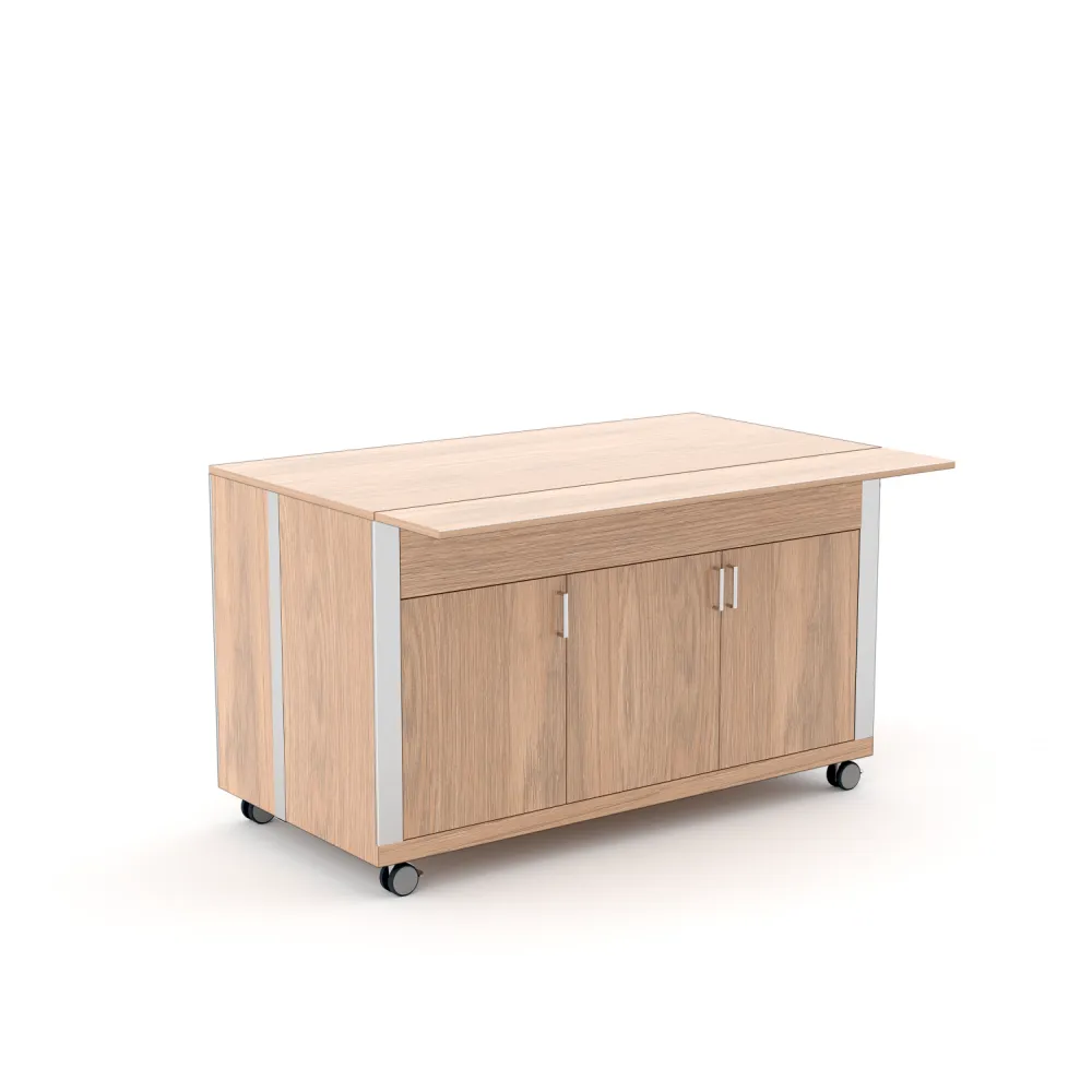 Vitrine libre-service ROCAM 010MOATHN3