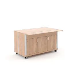 Vitrine libre-service ROCAM 010MOATHN3