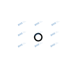 Joint torique SCHAERER Spare Parts 3303961000