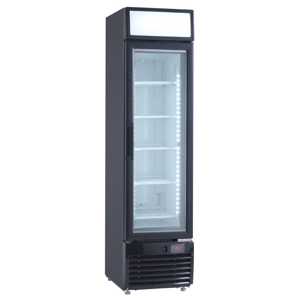 Vitrine congélateur SCANDOMESTIC 59324010000DF217BC
