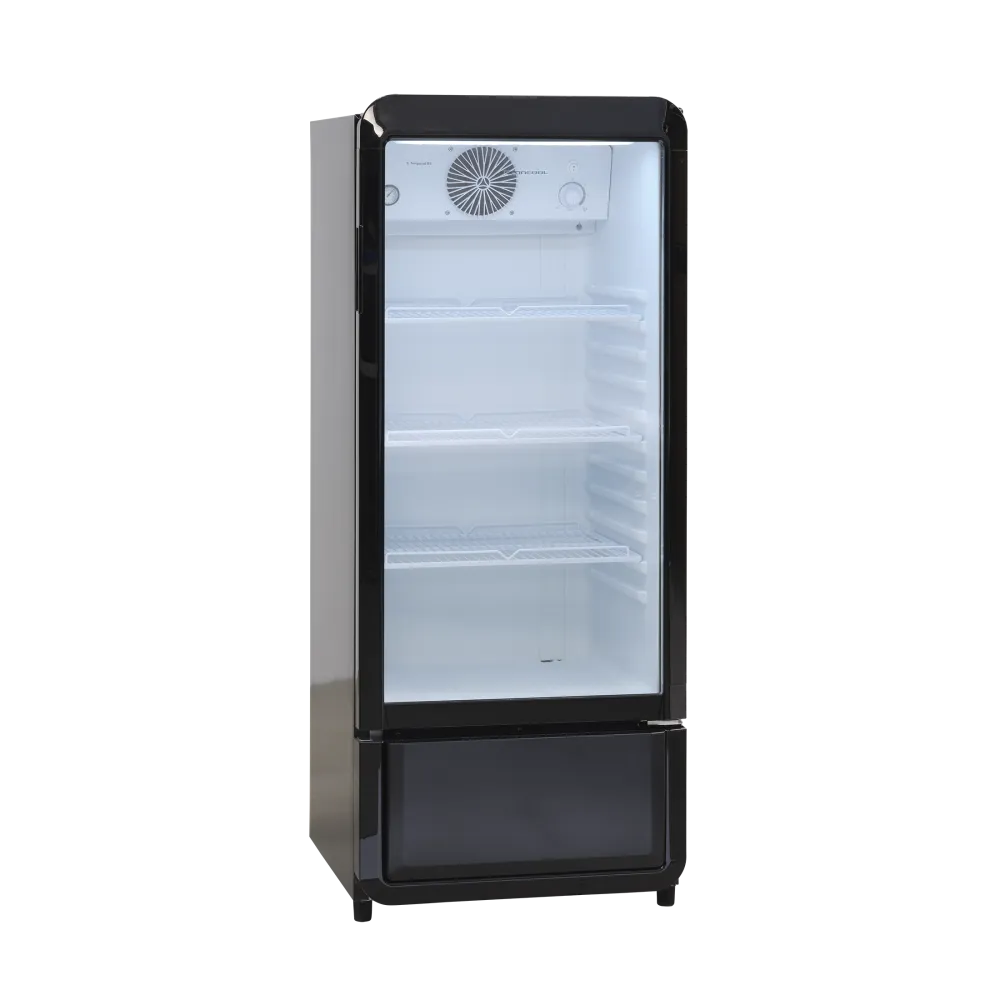 Armoire réfrigérée vitrée SCANDOMESTIC 25311110000DC200BD