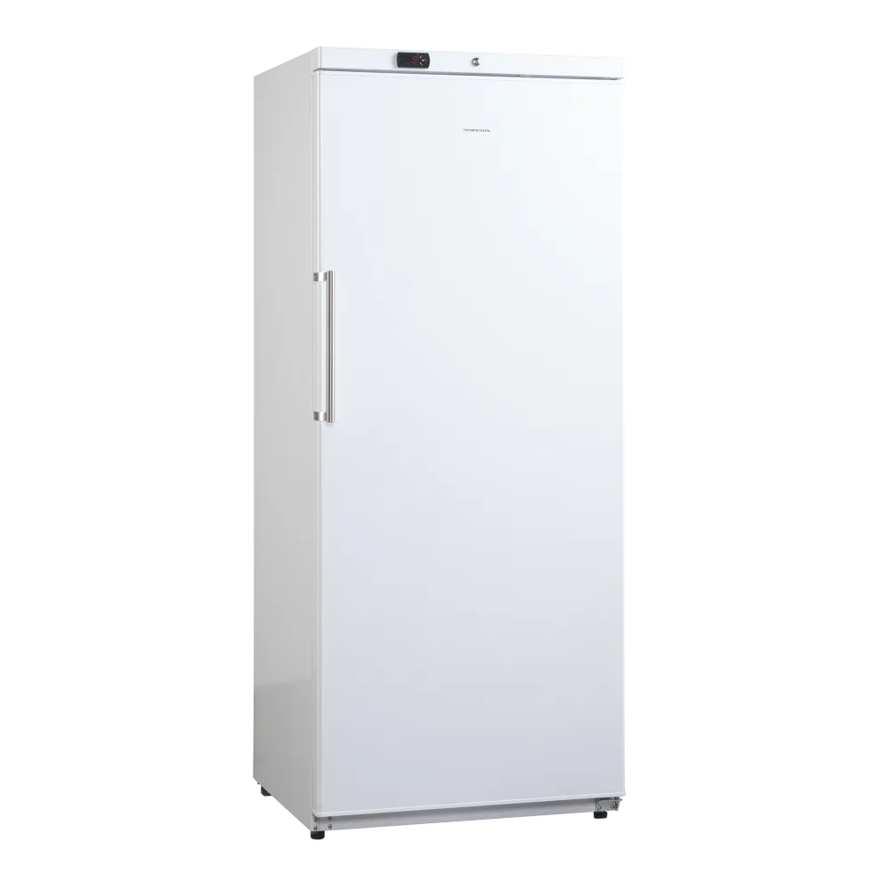 Réfrigérateur SCANDOMESTIC 31318510000GUR590WB