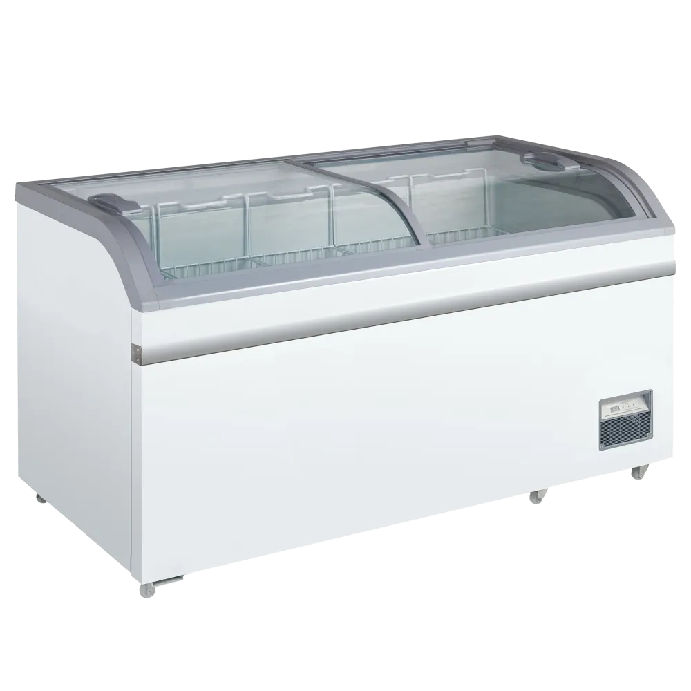 Congélateur coffre vitrine SCANDOMESTIC 22420602110000