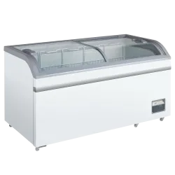 Congélateur coffre vitrine SCANDOMESTIC 22420602110000
