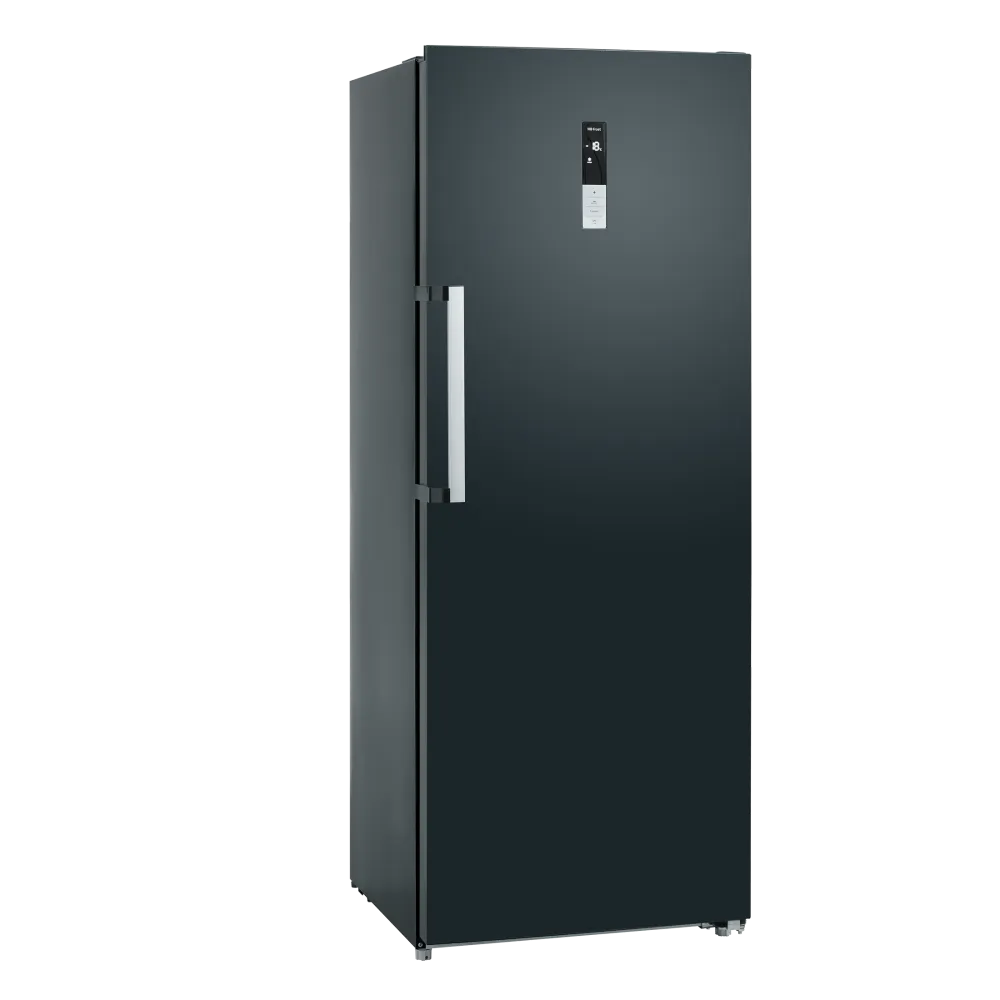Congélateur Scandomestic HOME 01020381BX10000