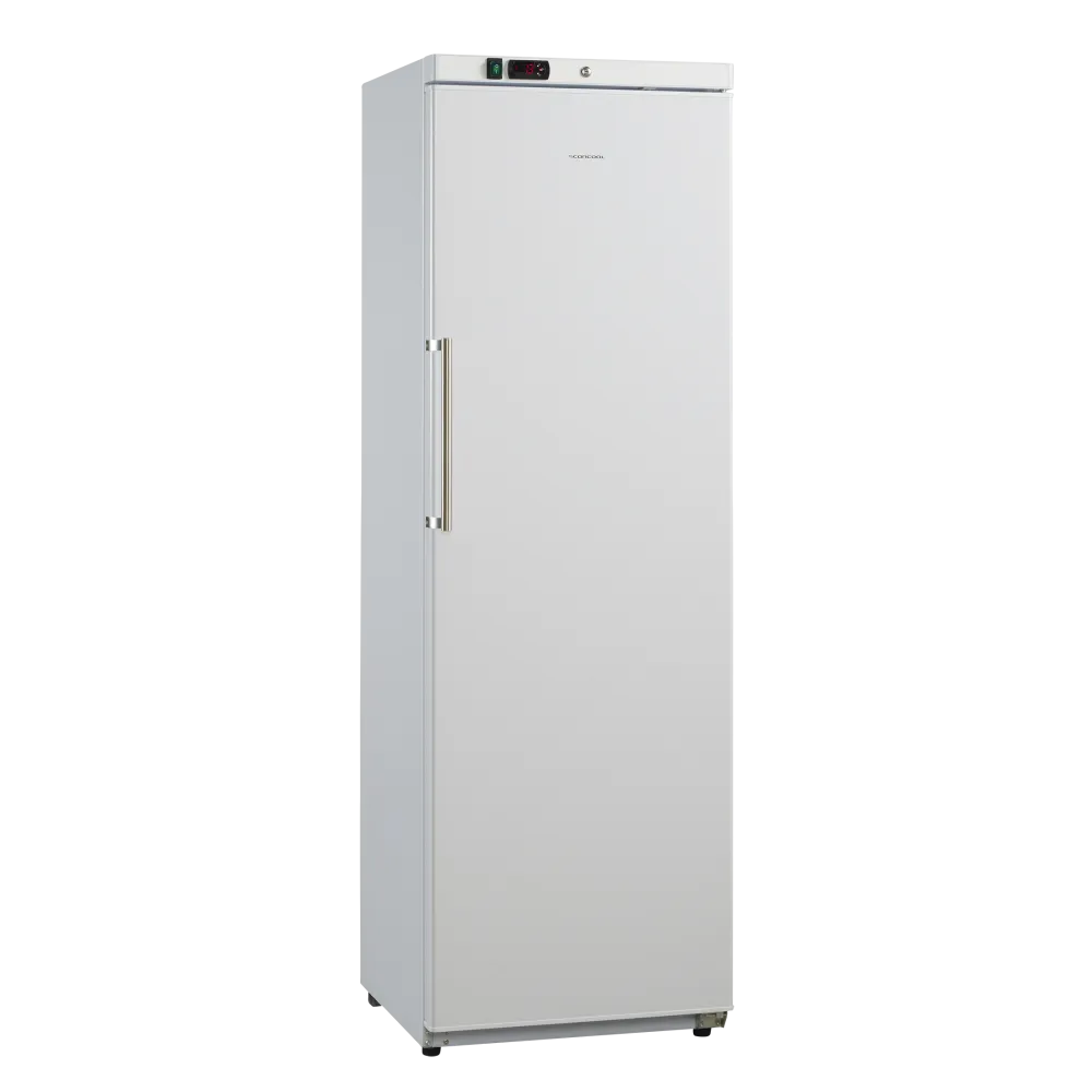 Congélateur vertical SCANDOMESTIC 31324510000GUF390W