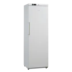 Congélateur vertical SCANDOMESTIC 31324510000GUF390W